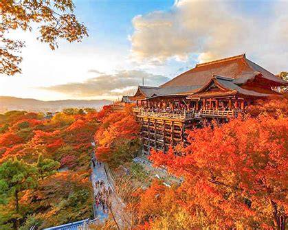 Japanese Autumn Leaves: Why Momijigari Is More Than Just Seeing Fall Colors