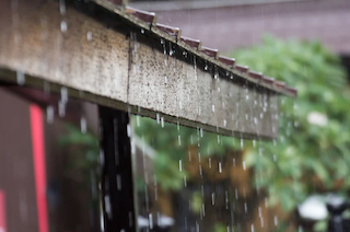 Tsuyu: The Rainy Season in Japan 